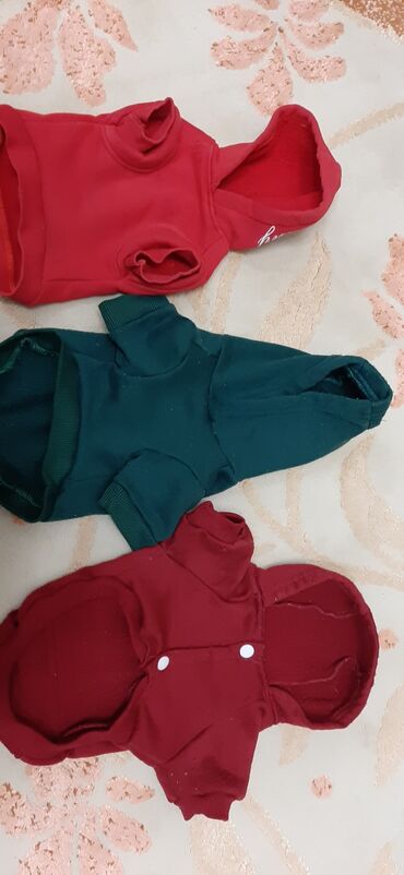 Geyimlər: Красивыекачественные почти новые вещи на маленьких собачек. Все в — 9