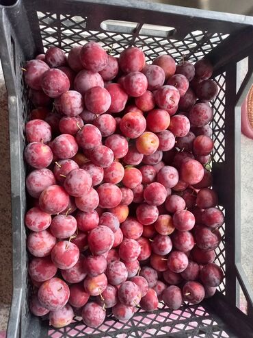 оптовые цены на продукты питания в бишкеке: Фрукты и ягоды