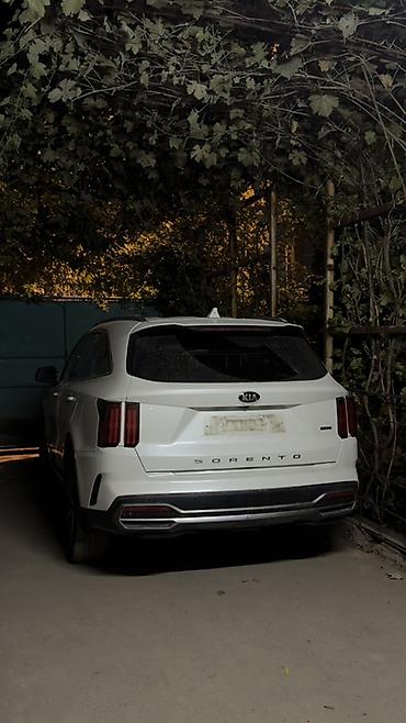 кия селтес: Kia Sorento: 2020 г., 1.6 л, Гибрид, Кроссовер — 2