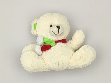 Mascot Teddy bear, condition - Very good