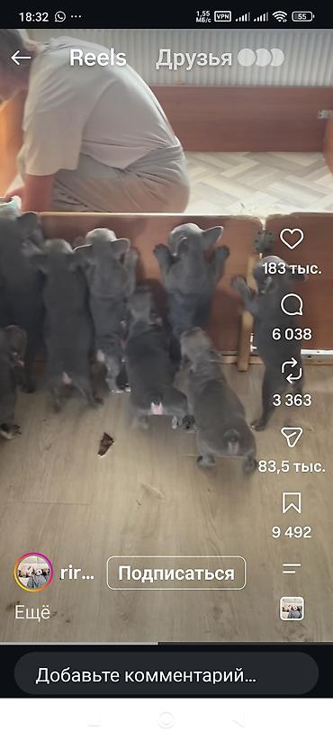 элитная: 2-комнатная квартира, 69 м², ЖК MANAS (блок Г) - Планировка: удобная — 6