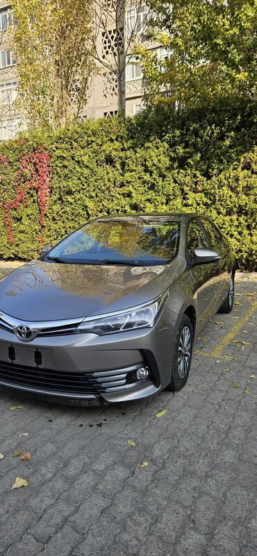 машины 2010 года и выше: Toyota Corolla: 2020 г., 1.2 л, Автомат, Бензин, Седан