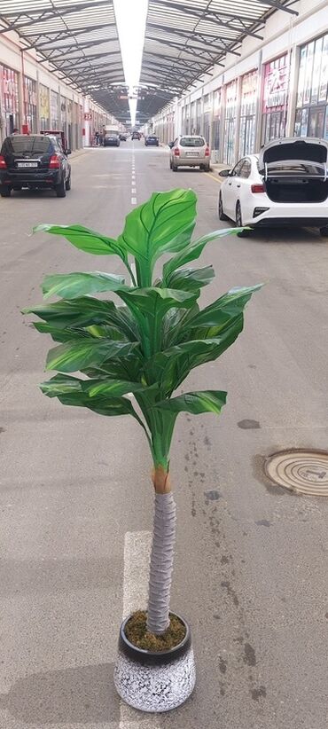 Süni güllər: Dekorativ süni ağaclar dəsti - Model 1: Varlıqlı yarpaqlı dekorativ — 11