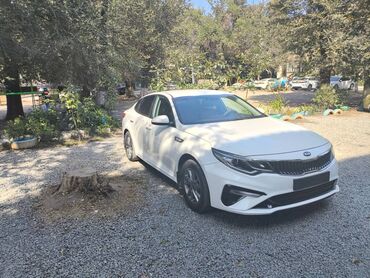 киа к5 2018 цена бишкек: Kia K5: 2020 г., 2 л, Автомат, Газ, Седан