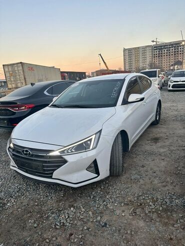 продажа портера: Hyundai Avante: 2019 г., 1.6 л, Автомат, Бензин, Седан