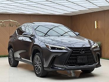 авта: Lexus NX: 2022 г., 2.5 л, Автомат, Гибрид, Кроссовер — 1