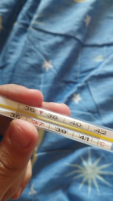 acne studio: Дубленка, Авиатор, Короткая модель, Оверсайз, L — 6