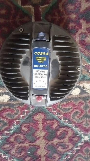 bowers and wilkins: Профессиональный компрессионный драйвер COBRA BM-D750 — 1