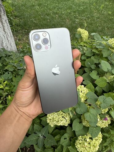 iphone xr купить бу: IPhone 12 Pro, Колдонулган, 256 ГБ, Black Titanium, Каптама, 78 %