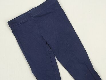 kurtka jeansowa dla dziewczynki zara: Leggings for kids, 2-3 years, 92/98, condition - Perfect