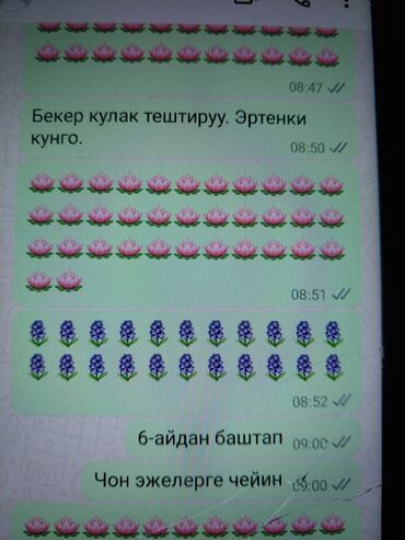 услуга зарядка аккумулятора автомобиля с выездом: Только завтра 100 сом прокол ушей