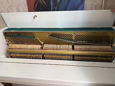 Клавишные инструменты: Akkord akustik pianino – dik model, ağ rəngli korpus və klassik — 4