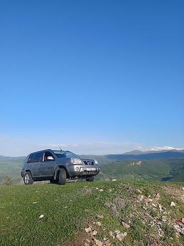 nisan altima: Nissan X-Trail: 2.2 l | 2003 il Ofrouder/SUV — 2