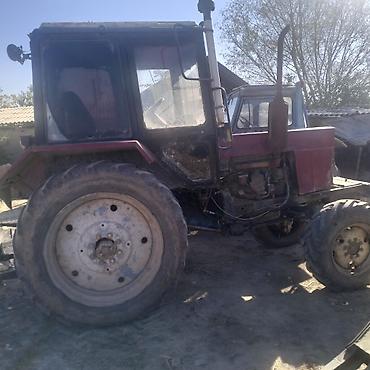belarus mtz 80: Тракторы МТЗ «Беларус» — два экземпляра - Модельный ряд: МТЗ/Беларус — 4