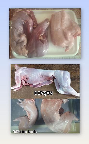 rizen dovşan: Məhsul: Dovşan əti – Çöl və Ev Təsvir: - Təbii qidalanmış — 2