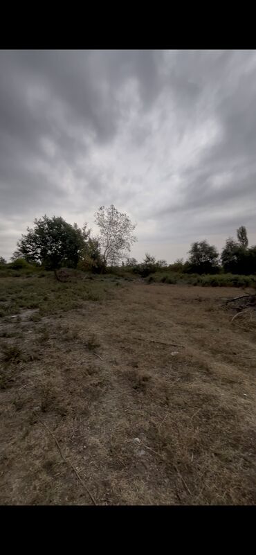 Torpaq sahələrinin satışı: 10 sot, Kupça (Çıxarış) — 7