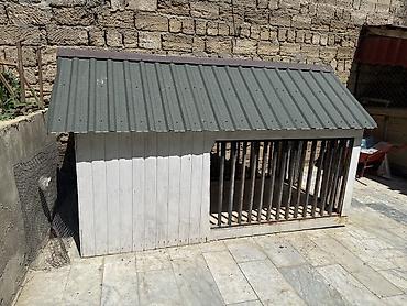 ağ itlər: Böyük ölçülü it evi və açıq volyer - Karkas: qalın taxta — 3
