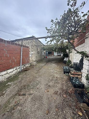 guzdek torpaq satilir: 4 otaqlı, 200 kv. m, Kredit yoxdur, Orta təmir — 6