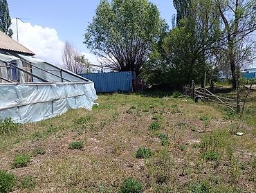 продам участки: Продаётся уй жакшы жерде жайгашкан школа садик жакын базарга да жакын — 6