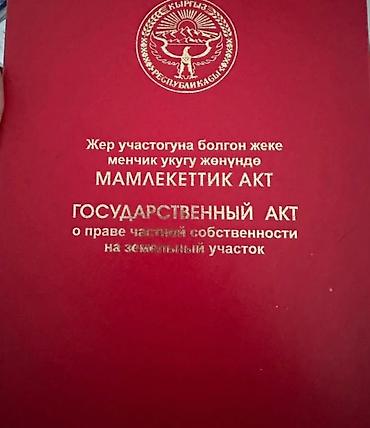 куран окутуу кафе: 4 соток, Бизнес үчүн, Кызыл китеп — 1