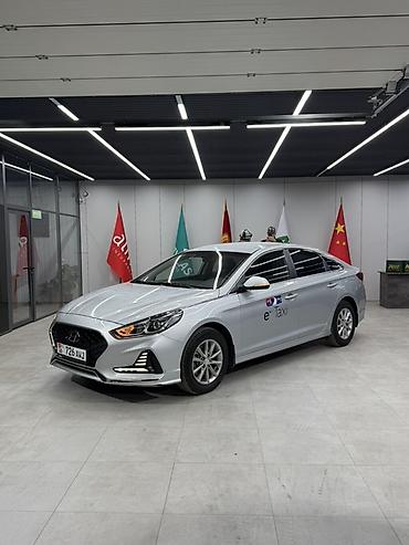 полик на sonata dn8: Hyundai Sonata: 2020 г., 2 л, Автомат, Газ, Седан — 1