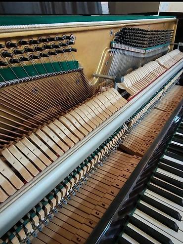 Musiqi alətləri: Piano, Akustik, Yeni, Ünvandan götürmə — 5
