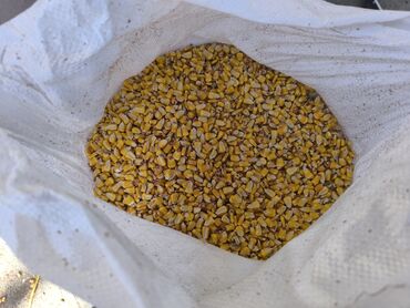 где продают дубайский шоколад в бишкеке: Сатылат Договор