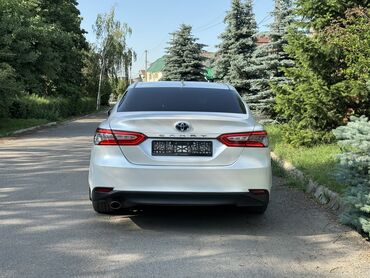 люк на камри: Toyota Camry: 2019 г., 2.5 л, Гибрид