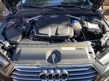 Audi: Audi A4: 2 l. | 2016 έ. Πολυμορφικό — 6