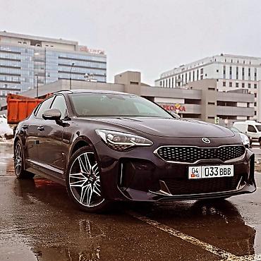 жабра: Kia Stinger: 2020 г., 3.3 л, Автомат, Бензин, Фастбек — 1