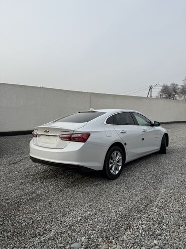 Chevrolet: Chevrolet Malibu: 2019 г., 1.3 л, Бензин — 3