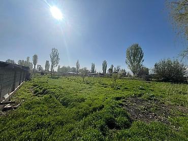 Продажа участков: 30 соток, Для сельского хозяйства, Красная книга, Тех паспорт at lalafo.kg — 17 Продажа участков: 30 соток, Для сельского хозяйства, Красная книга, Тех паспорт — 17