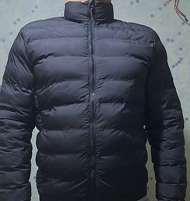 Kurtkalar: Kurtka, Bolonka, Yaz, Zara, XL — 1