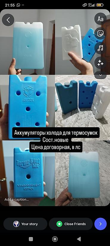 Аккумуляторы холода для термосумок и изотермических контейнеров. -