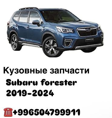 obc faces: Subaru, 2024 г., Новый, Аналог — 1