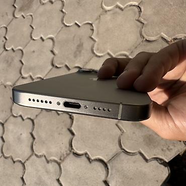 iphone 13 pink: IPhone 15 Pro Max, цвет Titanium на экране защитный стекло корпус и — 3