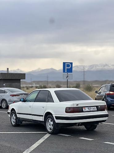 глушитель выхлоп: Audi 100: 1991 г., 2 л, Механика, Бензин, Седан — 4