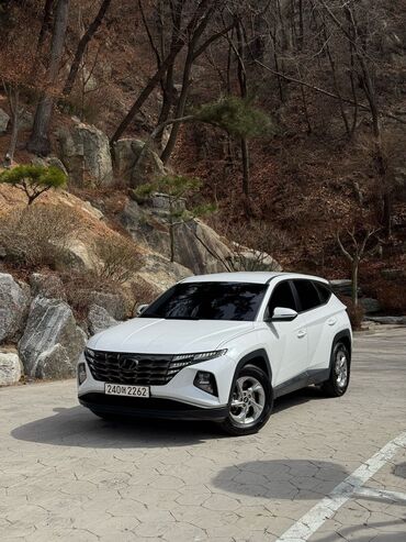 фолсваген транспортер: Hyundai Tucson: 2021 г., 2 л, Автомат, Дизель, Кроссовер