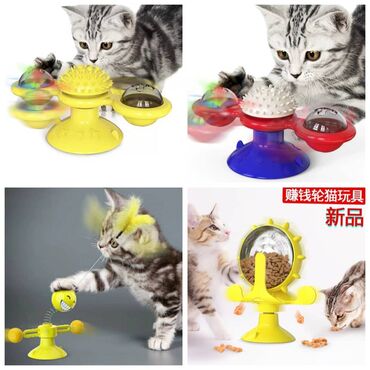 Товары и оборудование для с/х животных: ПРОДАЮ РАЗЛИЧНЫЕ КОГТЕТОЧКИ(от 450сом),А ТАК ЖЕ СУМКИ — 8