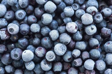 туники оптом: Замороженные фрукты, ягоды, Шоковая, Оптом