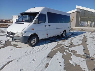 Mercedes-Benz: Mercedes-Benz Sprinter: 2003 г., 2.9 л, Механика, Дизель, Бус