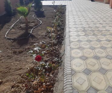 Həyət evləri və villaların satışı: Binəqədi qəs. 4 otaqlı, 110 kv. m, Kredit yoxdur, Yeni təmirli — 15