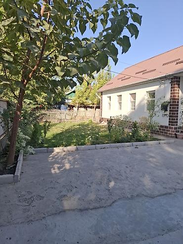 место отдыха: Продается дом! Московский район село Петровка. На первой линии вдоль — 2