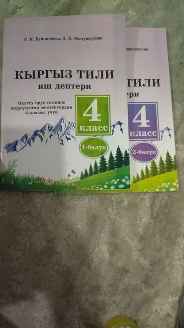 dvd диски с фильмами: Кыргыз тили иш дептери 4 класс в двух частях