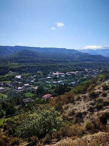 Torpaq sahələrinin satışı: Kənd təsərrüfatı — 4
