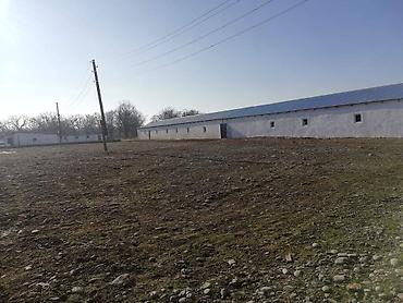 Kommersiya daşınmaz əmlakının satışı: 🔹 Satılır: Ferma – Xudat, Ləcət kəndi 🔹 ✅ Unikal fürsət! Xudat-Yalama — 12