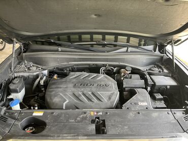 Hyundai: Hyundai Palisade: 2019 г., 2.2 л, Автомат, Дизель, Внедорожник — 19