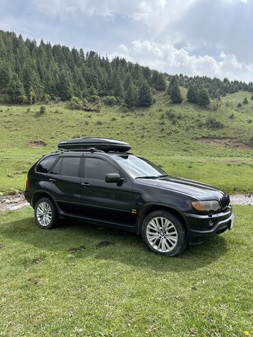 bmv e60: BMW X5: 2003 г., 3 л, Автомат, Газ, Внедорожник
