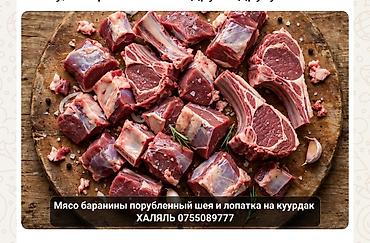 ат така: Мясо баранины, порубленное — шея и лопатка на куурдак. Подходит для — 1