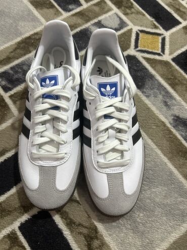 спортивные костюмы для женщин: Мужские кроссовки, 42, Adidas, Новый, цвет - Белый
